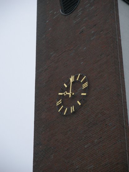 KG IWW 2009 Rosenmontagszug 001.jpg